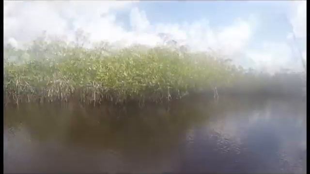 Hell`s Bay Everglades National Park Florida смотреть онлайн