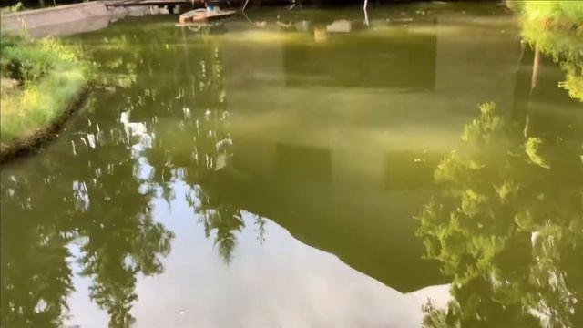 Известкование пруда смотреть онлайн