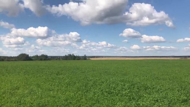 Высшая точка Ивановской области - Московская возвышенность смотреть онлайн