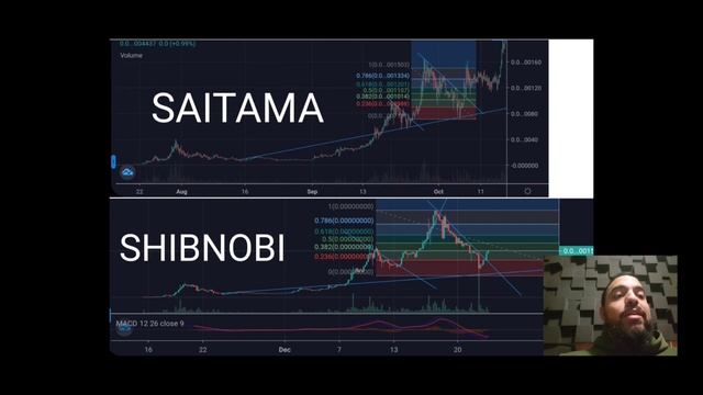SHIBNOBI'S MAGIC CARPET RIDE. NEW ALL TIME HIGHS AHEAD + $200 GIVEAWAY смотреть онлайн