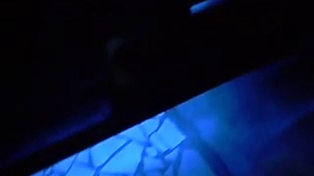 Toyota Voxy Car lights.asf смотреть онлайн