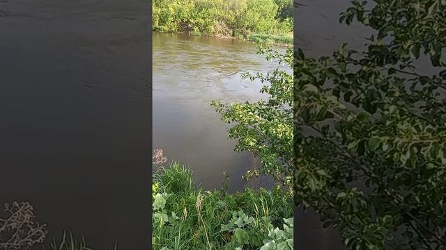 Река смотреть онлайн