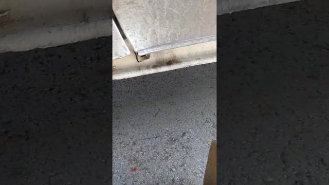 Рецепты для особых гостей 