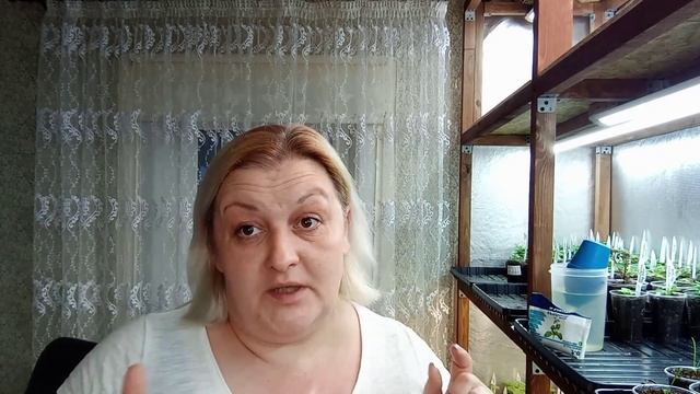 ?Включаю режим ожидания,наблюдения.?Первая подкормка гацании после пикировки.? смотреть онлайн