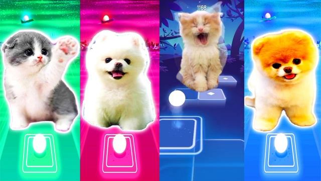 Cute cat vs Cute Dog vs Cute Cat vs Cute Dog | Tiles Hop EDM Rush смотреть онлайн