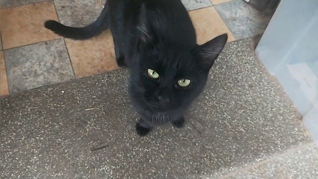 хлеб пекли, сало варили... и много разных дел смотреть онлайн