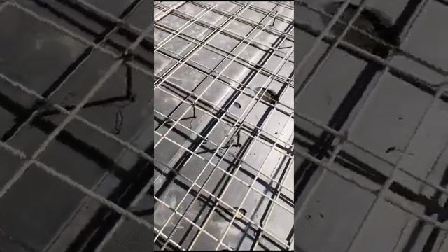 27 ноября 2023 г. смотреть онлайн