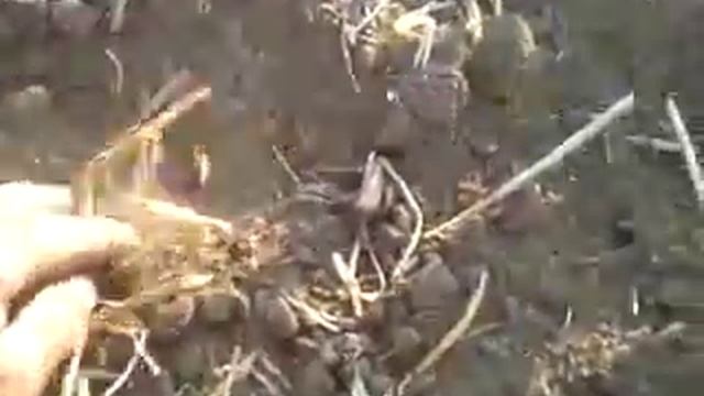 video 2015 08 31 17 47 58 смотреть онлайн