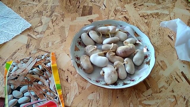 Фасоль-"поставщик"белка и витаминов.Строим грядку смотреть онлайн