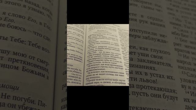Псалом 57. Молитва Богу о наказании нечестивых. Псалмы Давида. Псалтырь. смотреть онлайн