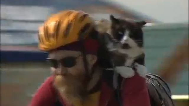 Морда и Владимир смотреть онлайн