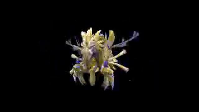 spore sakara the light demon updated смотреть онлайн