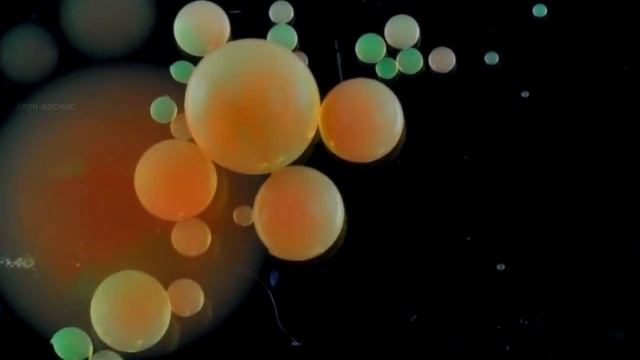 ЗАМОРОЗКА ЖИВОГО ЧЕЛОВЕКА (МОЗГА) [Крионика кома или анабиоз] S1E16 смотреть онлайн