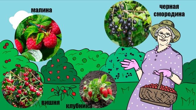 Садовые ягоды смотреть онлайн
