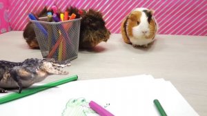 ? АРТ-ЧЕЛЛЕНДЖ "Волшебные фломастеры" от МОРСКИХ СВИНОК Бузи и Кузи