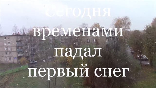 Позитив Осенью, когда все хмуро и серо вокруг нас радуют птицы за окном! смотреть онлайн
