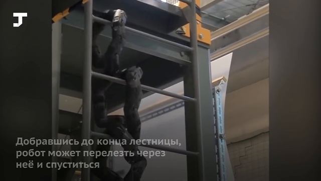 В Японии создали робота-змею, который умеет забираться по лестницам смотреть онлайн
