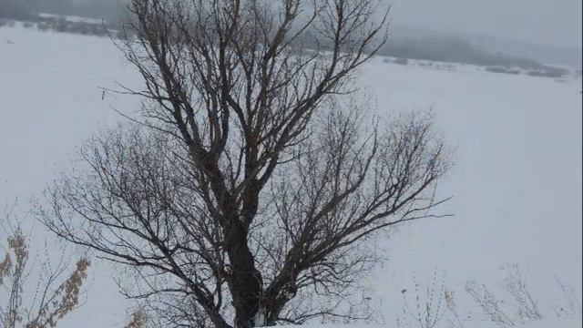 Уголок родного края смотреть онлайн