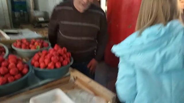 Сезон клубники Армения смотреть онлайн