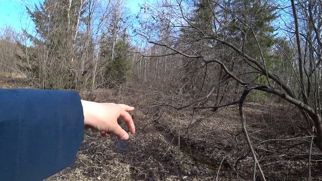 в лес 18 апр 2023 2 ч смотреть онлайн