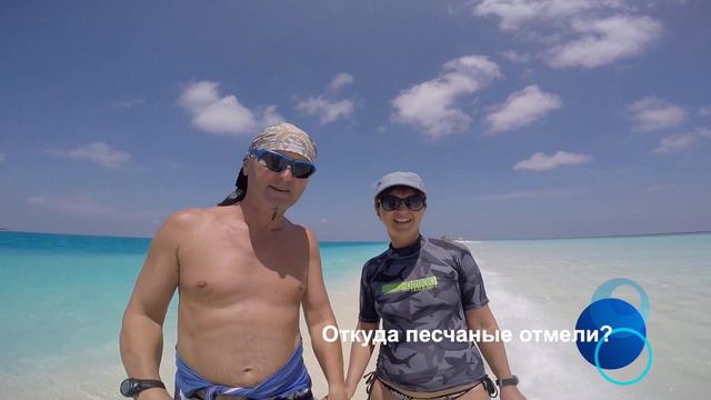 Одни из лучших фотолокаций на Мальдивах Sand Bank смотреть онлайн