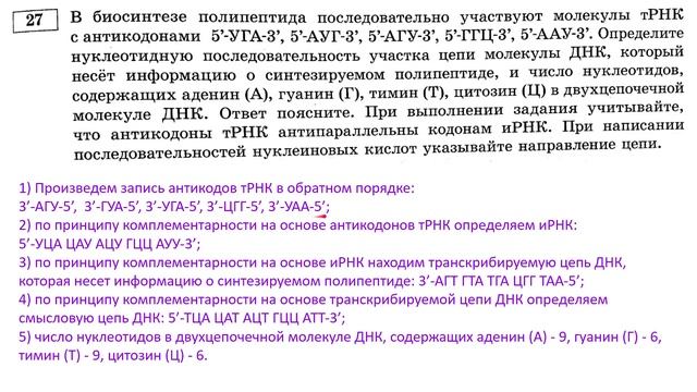 Биосинтез белка | Рохлов 2022 | Разбираем тесты ЕГЭ по биологии смотреть онлайн