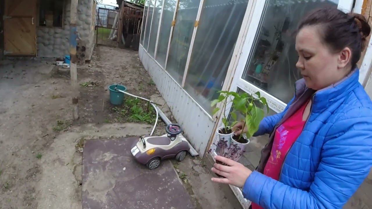 ЛЕЗУТ И ЛЕЗУТ / ХВАСТАЮ ОБНОВКАМИ смотреть онлайн