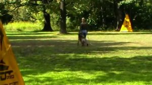 Малинуа, защита