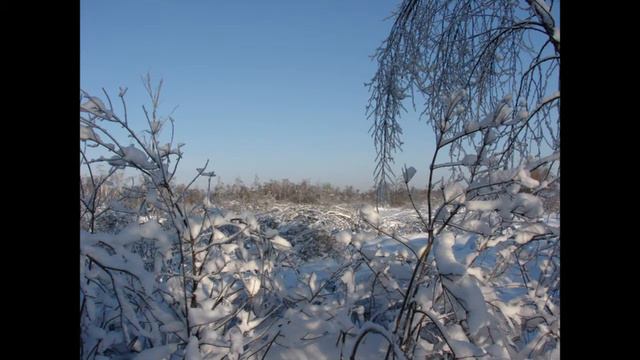 Пейзажи зимы смотреть онлайн