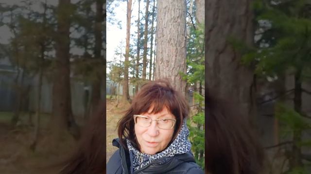 #купитьсумку #еленатогашевская 🤗 ГОТОВА ПОДОБРАТЬ СУМОЧКУ 💖 ТОЛЬКО ДЛЯ ВАС МИЛЫЕ И НЕЖНЫЕ 🧖