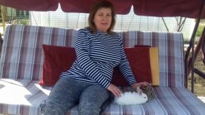 Породы кроликов на мясо: что лучше разводить племенных или помесь?!