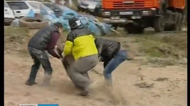 Субботник прошел в формате клубной вечеринки смотреть онлайн