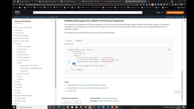 AWS REST API, CORS - FIXED! смотреть онлайн