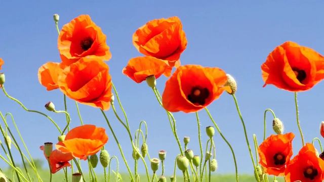 Коли Вознесіння, день Миколая Чудотворця та інші церковні свята у травні 2023. Церковний календар смотреть онлайн