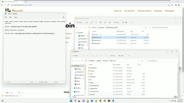How to recover your Meowcoin wallet and most likely a bunch of other QT based wallets. @meowcoinlol смотреть онлайн