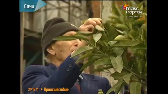 Земля уходит из-под ног сочинского пенсионера смотреть онлайн