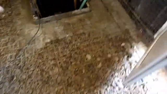 Приямок в цокольном этаже , цокольный этаж своими руками.Ground floor with your own hands смотреть онлайн