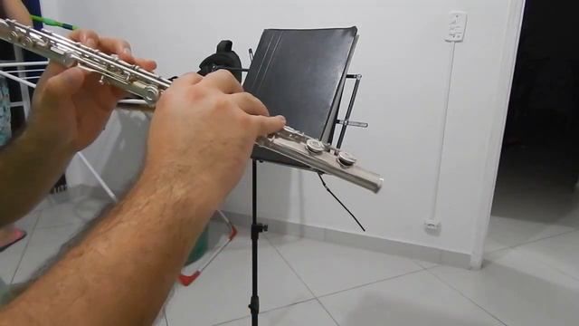 Carinhoso Pixinguinha - Flauta Gemeinhardt M3S смотреть онлайн