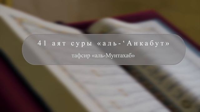 25 животных, упомянутых в Коране смотреть онлайн