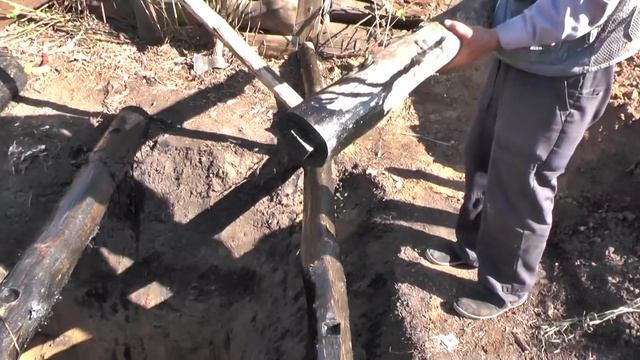 Пчёлы, рой, мёд.  Курицы и черви.  Роснадзору что нужно от нас?