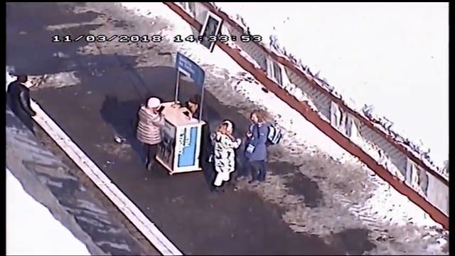 Прямая трансляция испытания лошадей рысистых и верховых пород смотреть онлайн