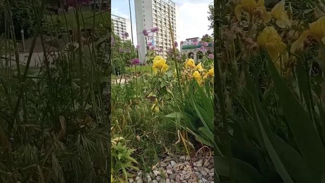 Даша путешественница в Варшаве смотреть онлайн