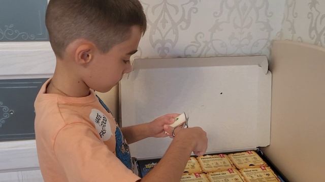 снежная буря
