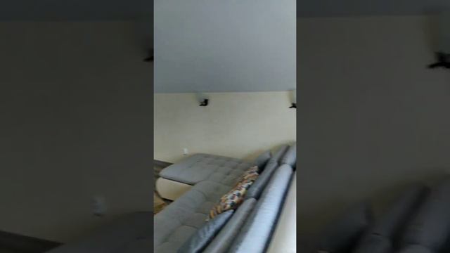 Готовый бизнес. Курортный городок Сочи. До моря 300м смотреть онлайн