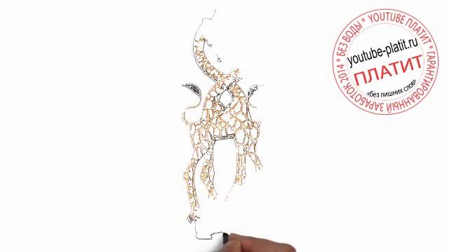 Нарисованные карандашом животные Как нарисовать двух жирафов смотреть онлайн