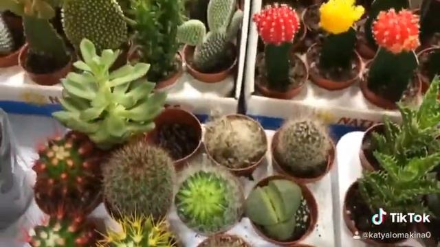 И это только начало смотреть онлайн