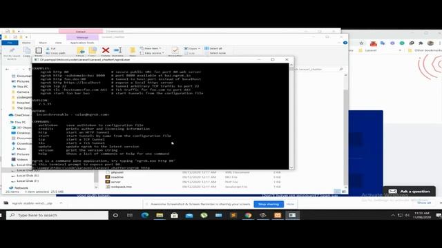 How to use the local laravel project globally without any server hosting. смотреть онлайн