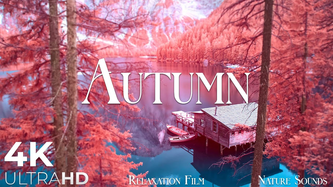 Nature Autumn | Meditation Music, Beautiful Relaxing Music, Nature Sounds | 4K Relaxation Film