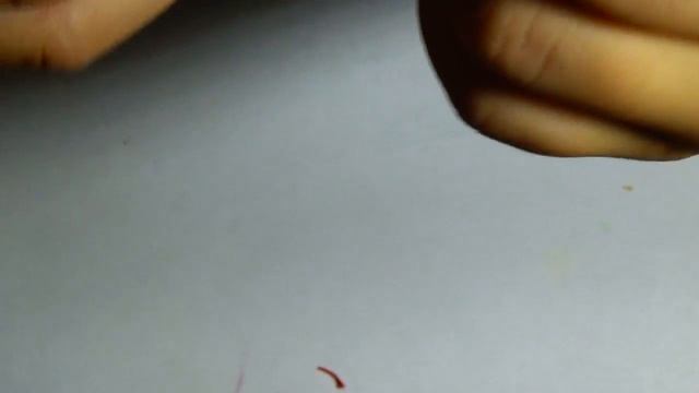 Как привязать поводок для поплавочной снасти. смотреть онлайн