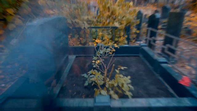 Как подготовить парковую розу к зиме! Мастер ландшафтного дизайна делится советом! смотреть онлайн